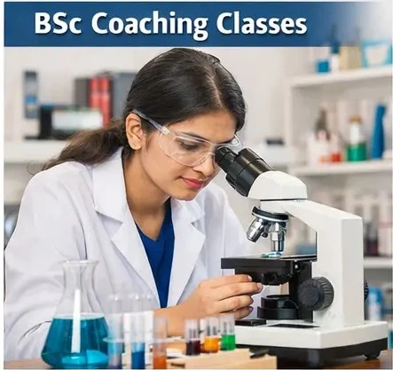 BSc mathematics and science tuition class in Vijayanagar Bengaluru